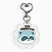 Брелок для ключей акриловый &laquo;Енот&raquo;, 5 х 4,9 см