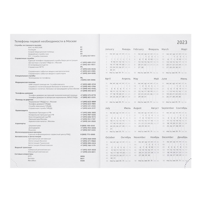 Ежедневник датированный 2024 года, А5, 176 листов, Attomex.Lancaster, обложка балакрон, ляссе, блок 70 г/м2, зелёный
