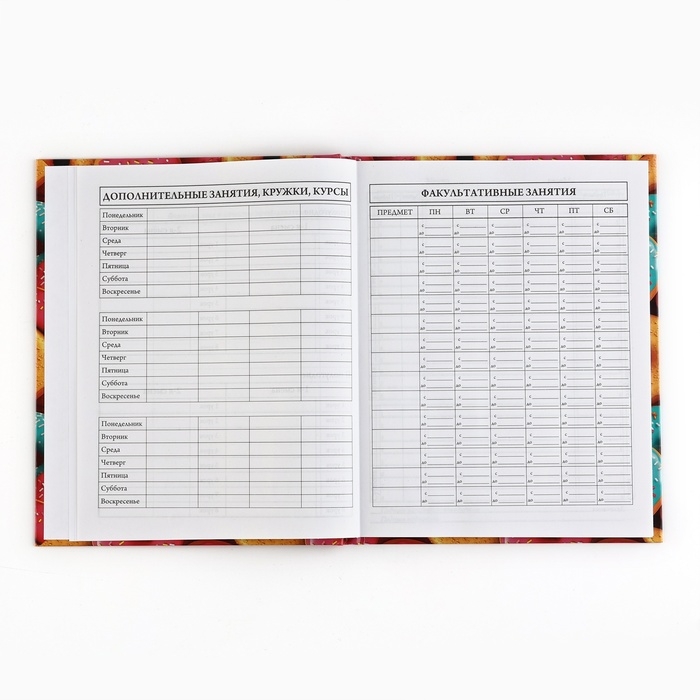 Дневник школьный 5-11 класс, в твердой обложке, 48 л. &laquo;Пончики&raquo;