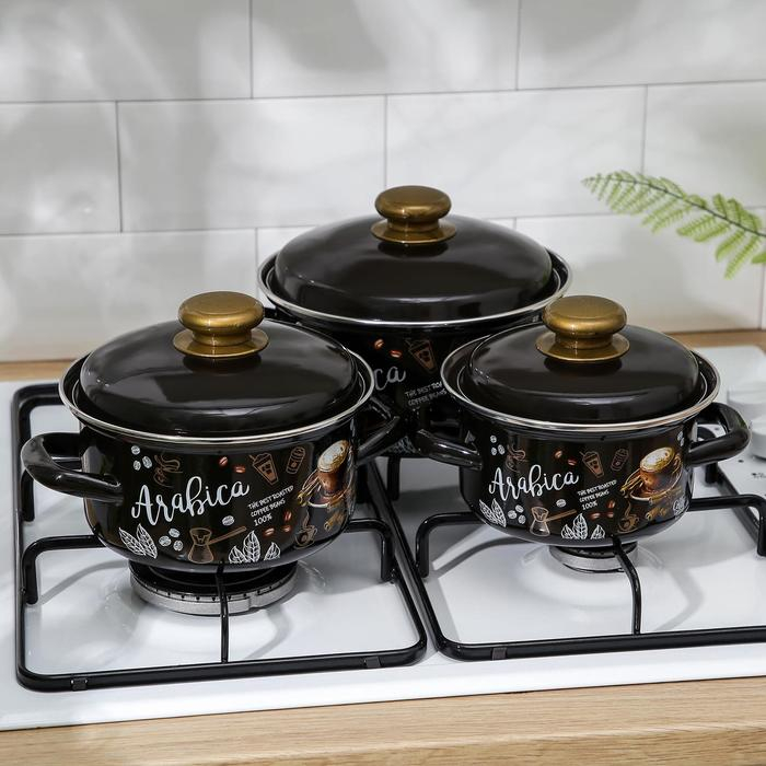 Набор эмалированных кастрюль &laquo;Арабика-1&raquo;, 3 предмета: 1 л, 1,5 л, 2,3 л, индукция
