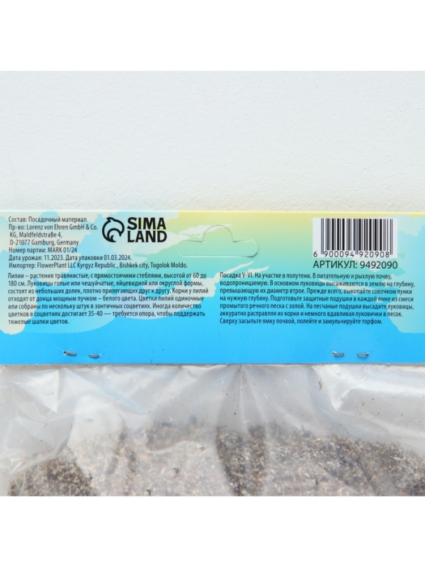 Лилия Турецкая шапочная "Spec.Var. Rubrum Uchida", р-р 12/14, 2 шт.