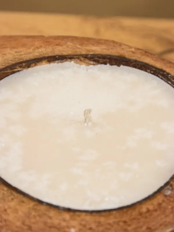 Свеча в кокосе, 18&times;22&times;7 см, коричневая