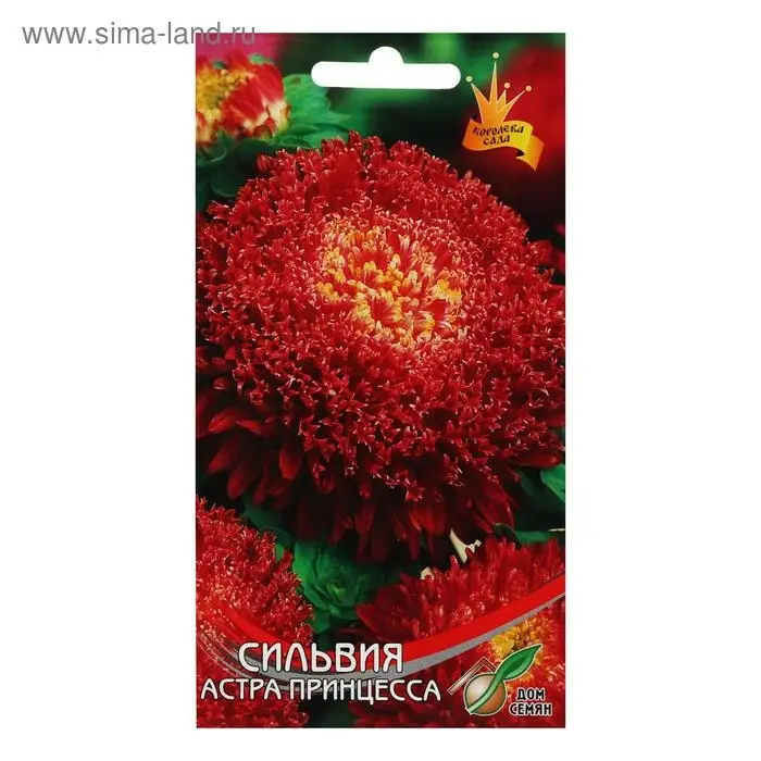 Семена цветов  Астра "принцесса Сильвия", 90 шт
