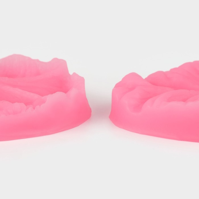 Молд &laquo;Лист тропических растений&raquo;, силикон, 2 шт, 6,5&times;4&times;2,3 см, цвет МИКС