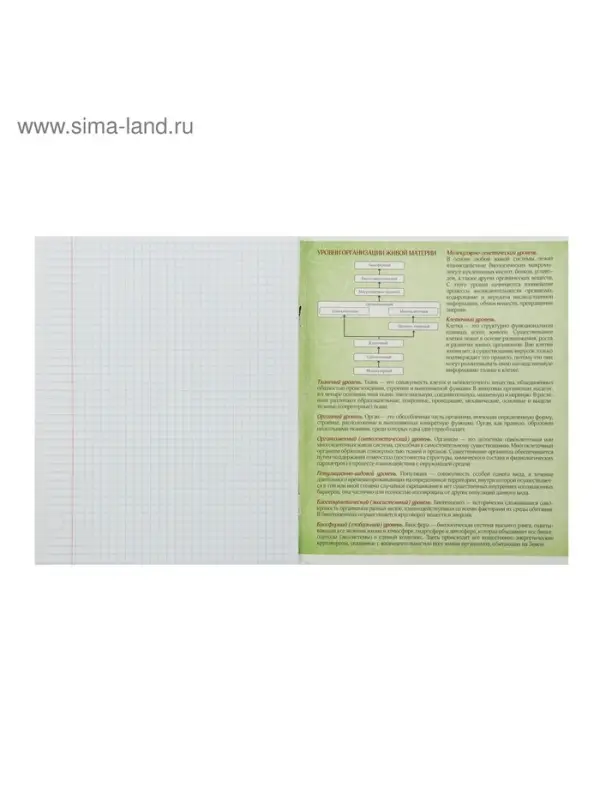 Тетрадь предметная 48 листов в клетку Calligrata, &laquo;Биология&raquo;, обложка мелованный картон