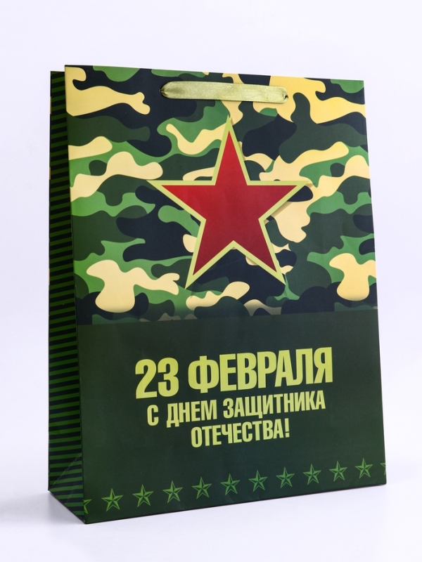 Пакет подарочный вертикальный &laquo;С Днём защитника Отечества! &raquo;, L 31 &times; 40 &times; 12 см