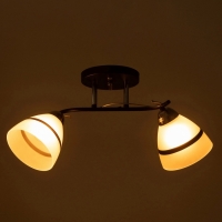 Люстра "Лайма" 2хЕ27 40Вт черно-хромовый 50х15х24 см