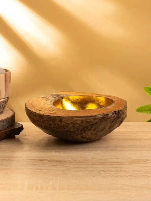 Чаша из кокоса, 22х24,5х9 см, коричнево-золотой