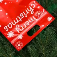 Пакет подарочный, "С новым годом!", с zip-lock застежкой, 20х30+4,5 см.