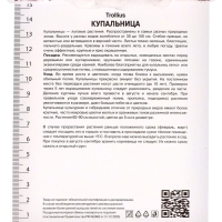 Купальница китайская, р-р I, 1 шт, Весна 2025