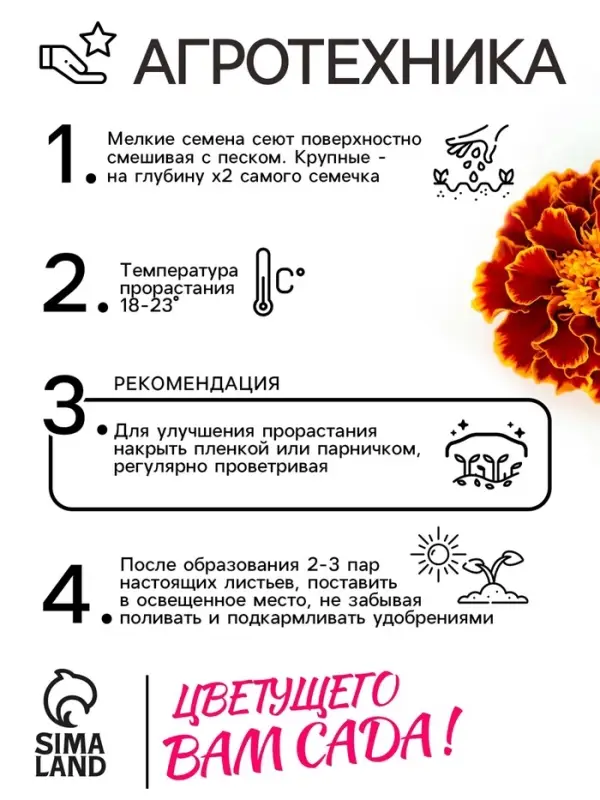 Семена цветов Бархатцы "Болеро", 0,2 г