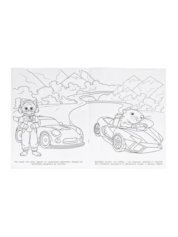 Раскраска &laquo;Весёлый гонщик&raquo;, 16 стр.