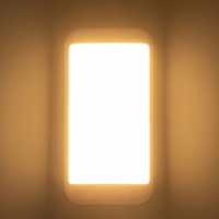 Светильник "Минимал" прямоугольник LED 10Вт 6500К (быстросъемный механизм) белый 5х12х24см   1077725