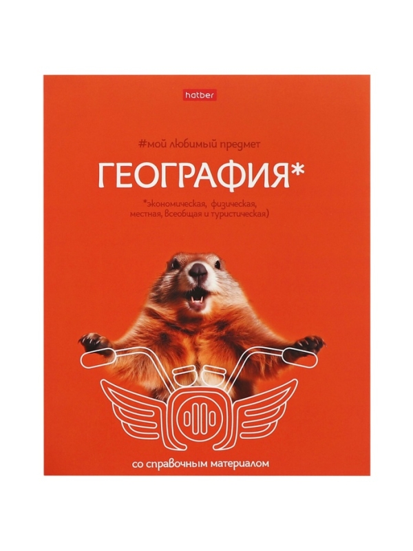 Комплект предметных тетрадей 48 листов, 12 предметов Hatber &laquo;Мой любимый предмет&raquo;, обложка мелованный картон, ламинация Soft-touch, с интерактивным сп...