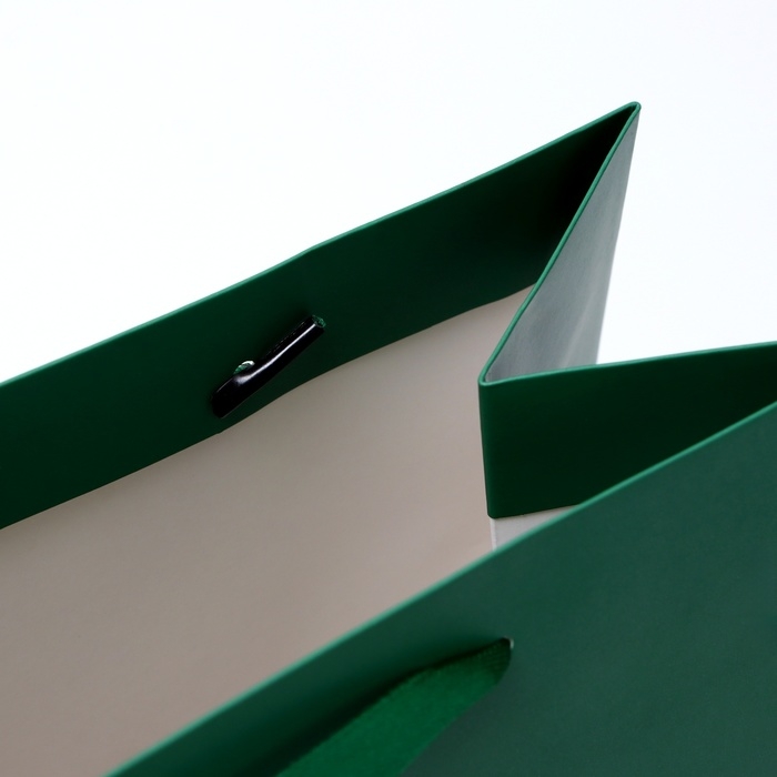 Пакет ламинированный &laquo;Зелёный&raquo;, 26 х 32 х 12 см