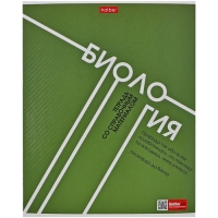 Комплект предметных тетрадей 48 листов, 12 предметов Hatber "Стиль 70-х", обложка мелованный картон, тиснение, с интерактивным справочником, блок о...