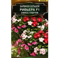Семена цветов Барвинок Ривьера F1, смесь сортов  С. Farao Золотая серия, Ц/П,5 шт.