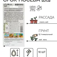 Семена огурца "Веселые гномики", F1, 10 шт.