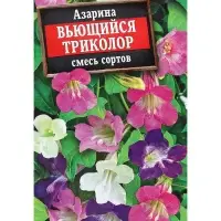 Семена Цветов Азарина "Вьющийся триколор", смесь сортов, 5 шт