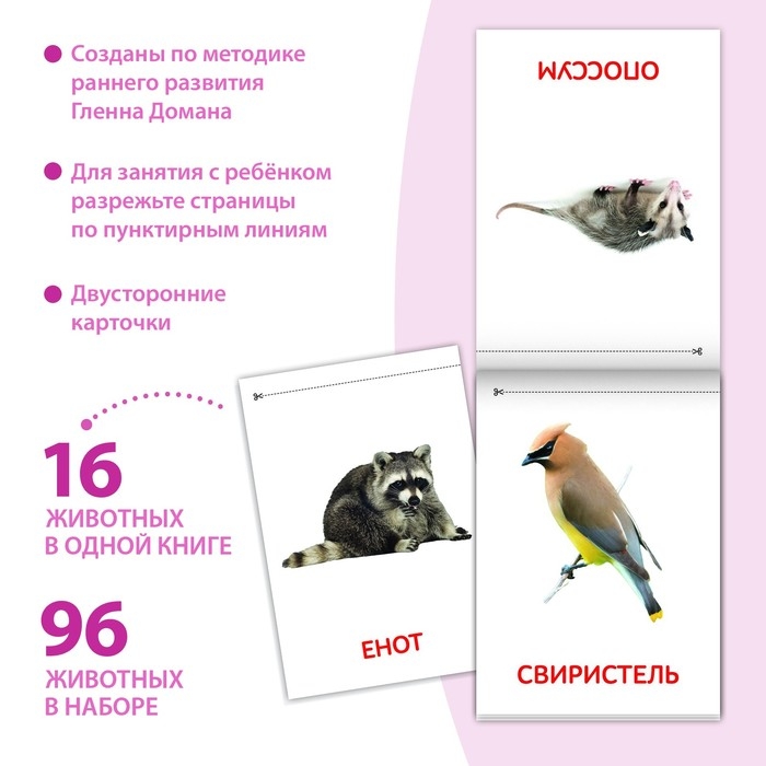 Книги набор &laquo;Карточки Домана. Животные материков&raquo;, 6 шт. по 20 стр.