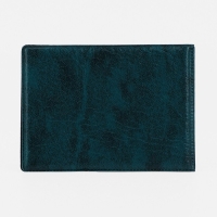 Обложка для удостоверения "Ветеран боевых действий", цвет зелёный