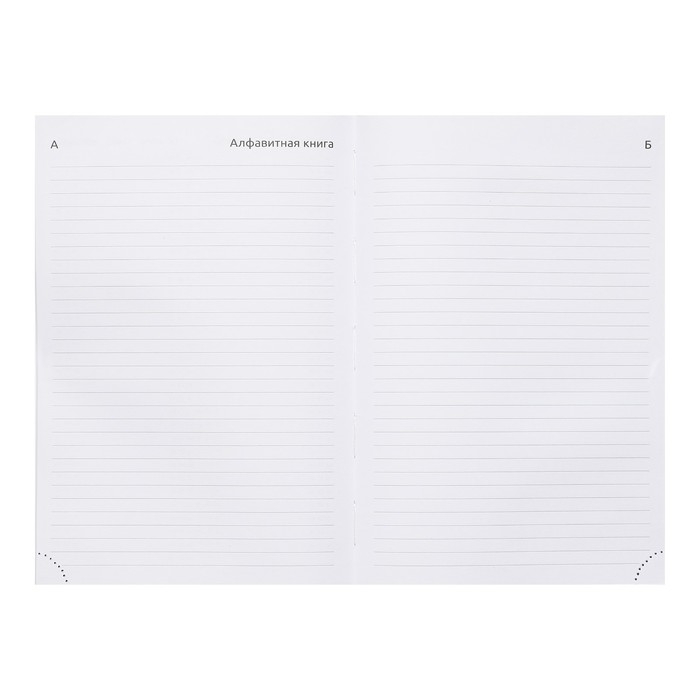 Ежедневник датированный 2024 года, А5, 176 листов, Attomex.Lancaster, обложка балакрон, ляссе, блок 70 г/м2, зелёный