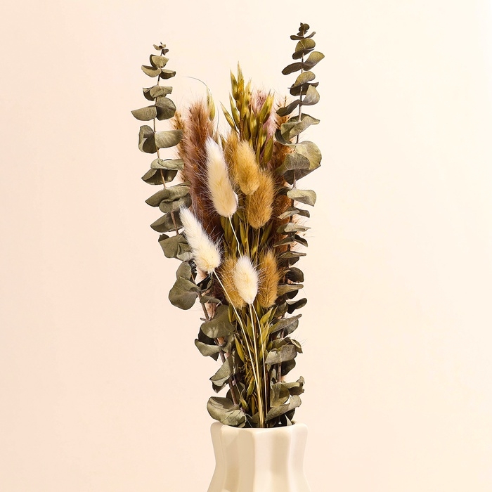 Сухоцветы &laquo;Мечта&raquo;, набор из 4 видов, 48 &times; 16 &times; 6 см