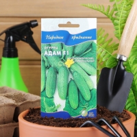 Семена огурца "Адам", F1, 6 шт.