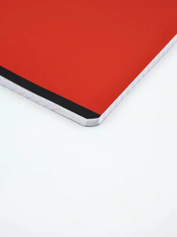 Тетради в клетку, 48 л., набор из 5 шт., блок №1 &laquo;Россия&raquo;