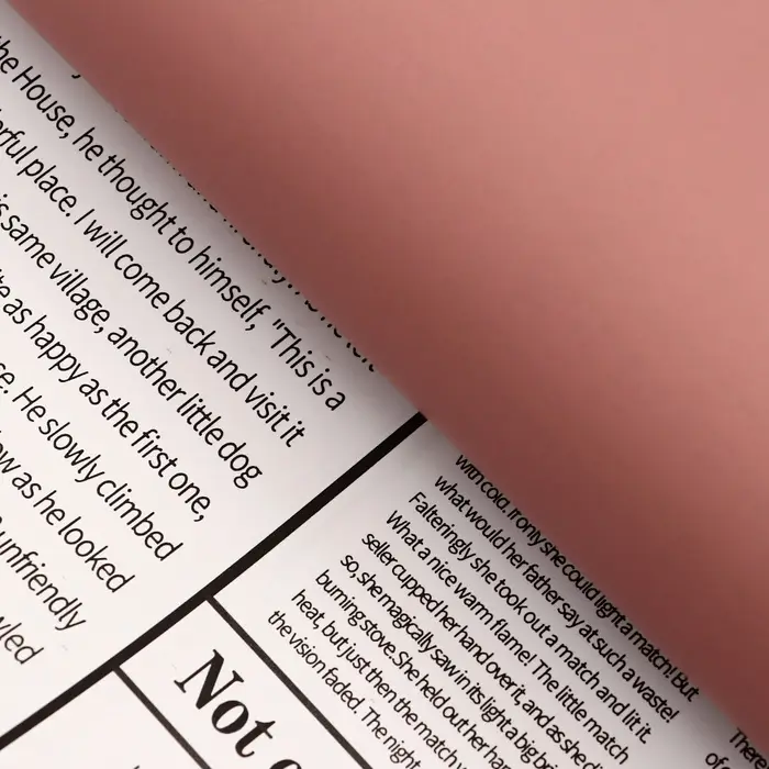 Плёнка матовая двухсторонняя &laquo;Газета&raquo; красный, 0.58&times;0.58 м