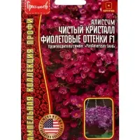 Семена цветов Алиссум Чистый Кристалл Purple Shades F1 (Clear Crystal) 5м.др. 12.29 г.