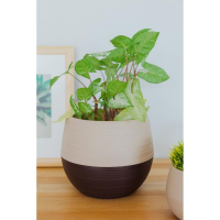 Горшок для цветов с поддоном &laquo;Дуэт&raquo;, 2.5 л, цвет шоколадный-кофе с молоком