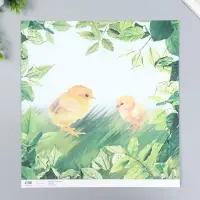 Бумага для скрапбукинга двусторонняя "Зайчики и цыплёнок" плотность 180 гр 30,5х32 см