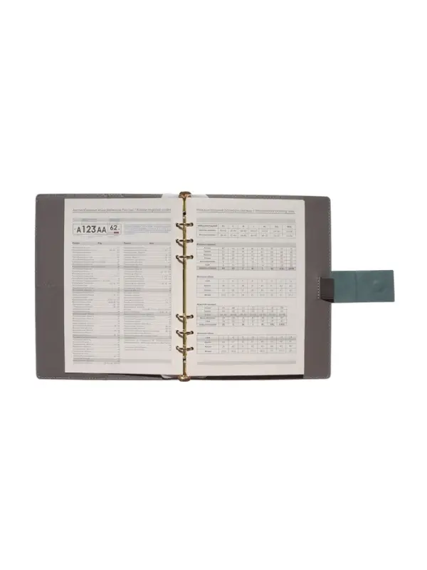 Органайзер на кольцах, А5, с хлястиком, 80л, линия, к/зам, Зеленый