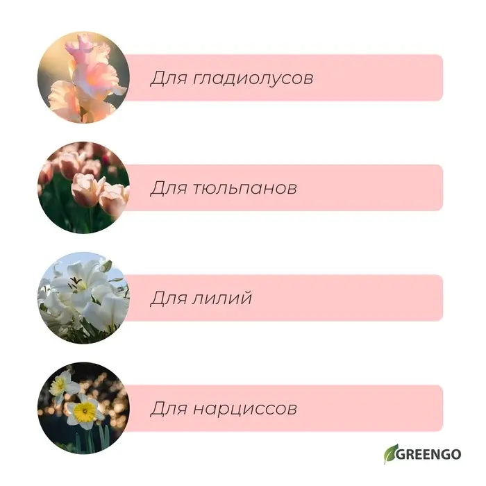 Корзина для луковичных, квадратная, 25&times;20 см, зелёная, Greengo