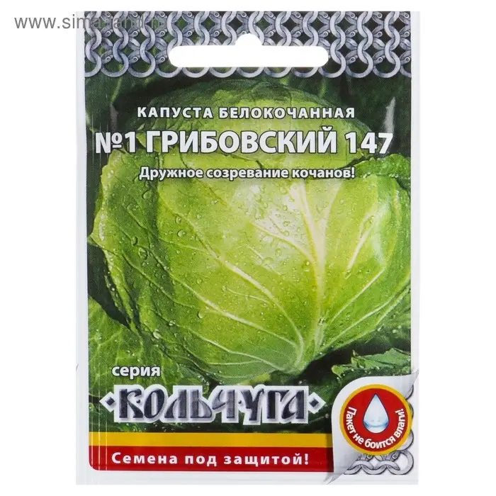 Семена Капуста белокочанная "Номер первый Грибовский 147" серия Кольчуга, 0,5 г