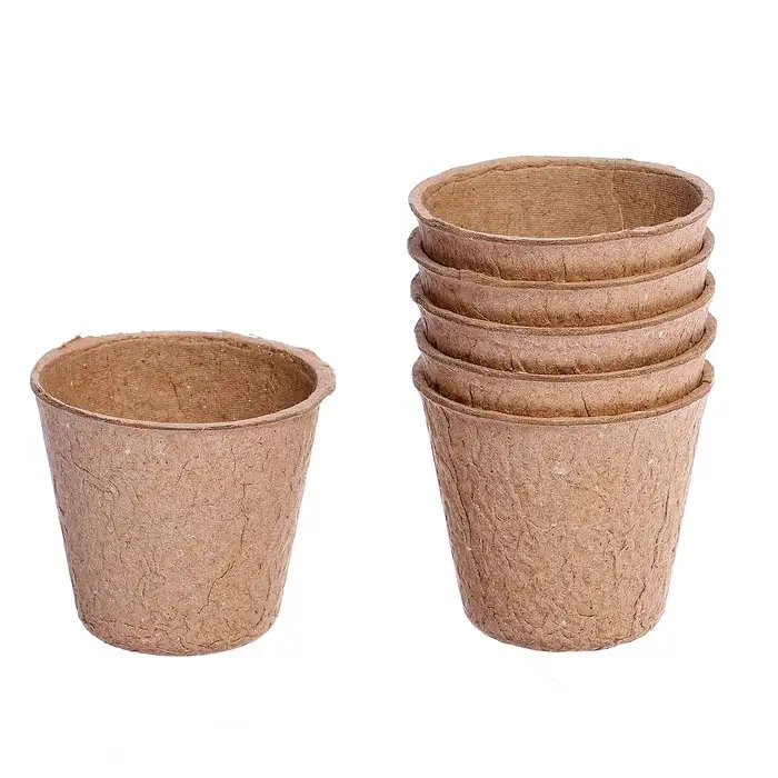 Набор для опытов &laquo;Моя мини-ферма&raquo;, выращивание растений, в космосе