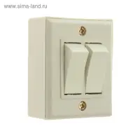 Выключатель "Топ", 10 А, 220 В, 2 клавиши, накладной, белый