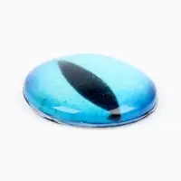 Глаза, набор 14 шт, размер 1 шт - 1,6 см