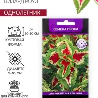 Семена цветов Колеус Визард Роуз, 10шт