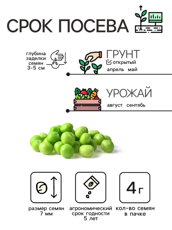 Семена Горох "Динга", 4 г