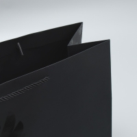 Пакет подарочный, упаковка, &laquo;Россия&raquo;, L 38 х 29 х 13 см