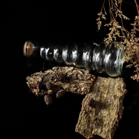 Бутылка стеклянная для соусов и масла с пробковой крышкой Доляна &laquo;Парфе. Гармонь&raquo;, 400 мл, 21,8&times;7,5 см