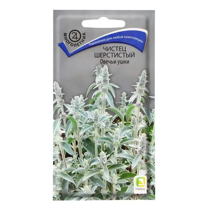 Семена цветов Чистец шерстистый &laquo;Овечьи ушки&raquo;, 0.1 г