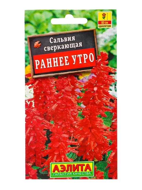 Семена цветов Сальвия Раннее утро , Ц/П,0,1 г