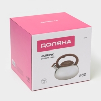 Чайник со свистком из нержавеющей стали Доляна &laquo;Квант&raquo;, 2,8 л, фиксированная ручка soft-touch, цвет хромированный