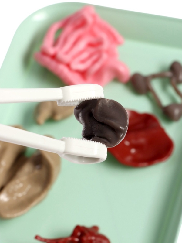 ЭВРИКИ Набор для опытов "Строение тела", светящееся с мягкими органами