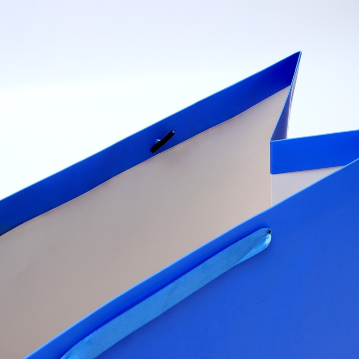 Пакет ламинированный вертикальный "Синий", XL 40 &times; 49 &times; 19 см