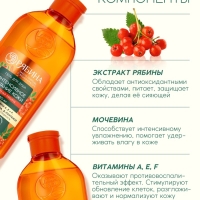 Гель для душа, интенсивное питание кожи, аромат рябины, 250 мл, Рябина