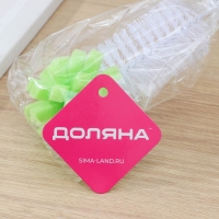 Ерш для посуды с губкой Доляна Green day, 31&times;5 см, анатомическая ручка